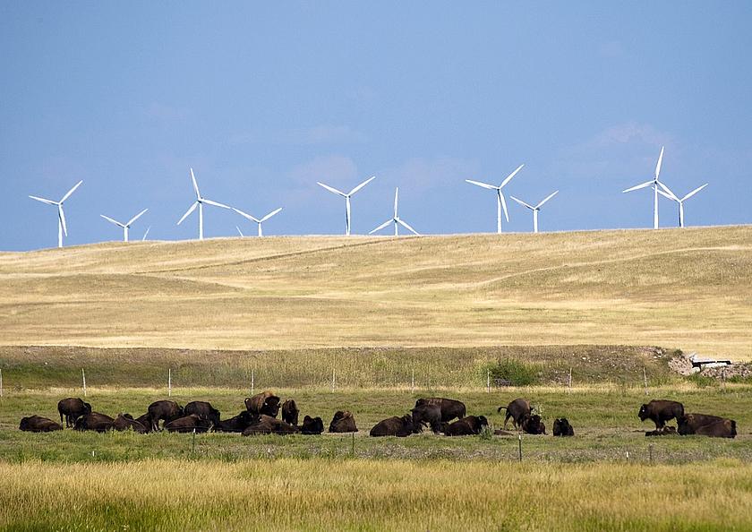 Im bevölkerungsärmsten US-Bundesstaat Wyoming im Nordwesten der USA leben gerade einmal gut 580.000 Menschen. Da auch die Windverhältnisse größtenteils sehr günstig sind, entstehen dort viele Windparks. (Foto: CGP Grey, flickr.com, CC BY 2.0, www.cg