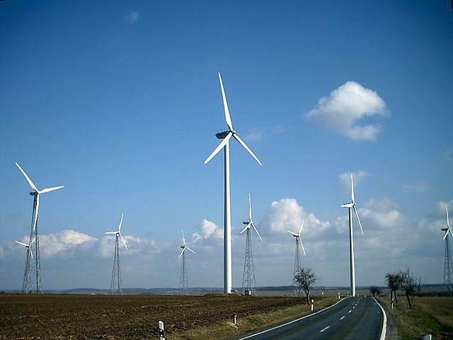 Dänemark hat weltweit die höchste Leistung an Windkraft pro Einwohner. (Bild: Naturstrom AG)