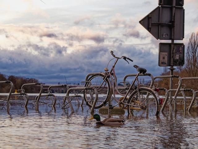 Fahrradständer und ein Fahrrad halb unter Wasser. Eine Ente schwimmt dran vorbei