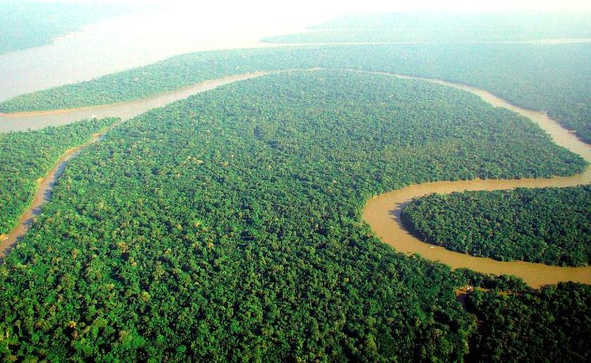 Im Amazonasgebiet kämpfen indigene Volksgruppen um ihre Landrechte. (Foto: <a href="https://commons.wikimedia.org/w/index.php?curid=18572902" target="_blank"> lubasi - Catedral Verde - Floresta Amazonica </a>, <a href="https://creativecommons.org/license