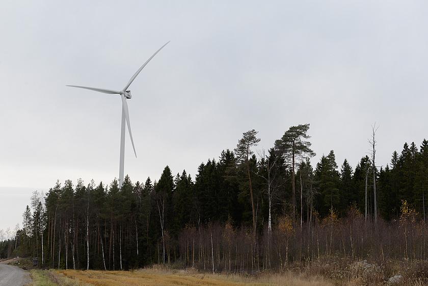 Forst mit Windkraftanlage in Finnland