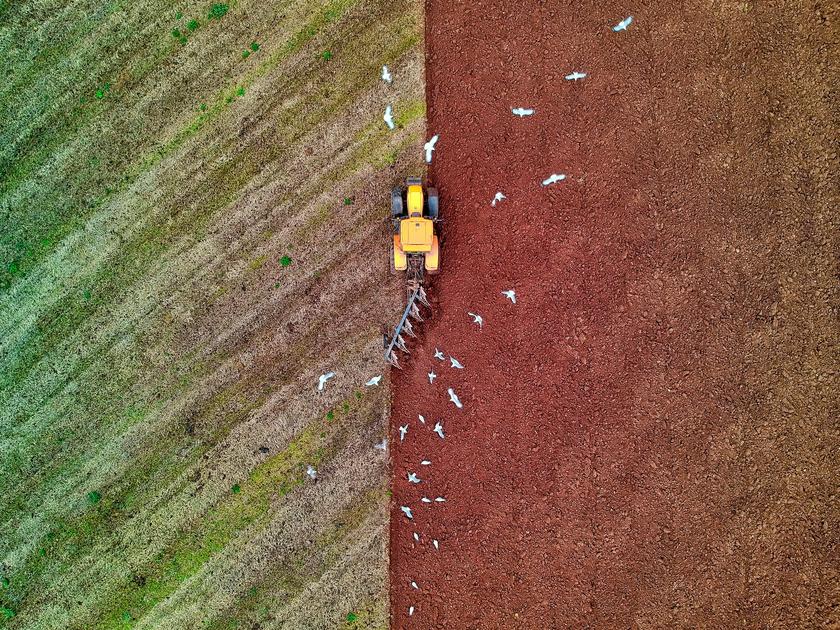 Traktor auf einem Feld aus der Vogelperspektive.
