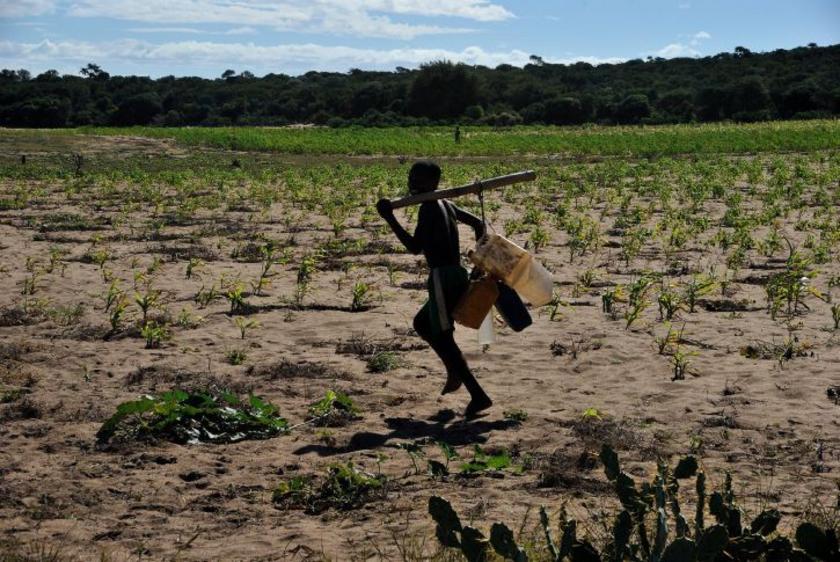 Mensch auf Madagaskar überquert ein ausgedörrtes Feld