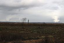 Foto: gerodete Fläche mit einzelnen Sträuchern und Tagebau und Kohlekraftwerke im Hintergrund.