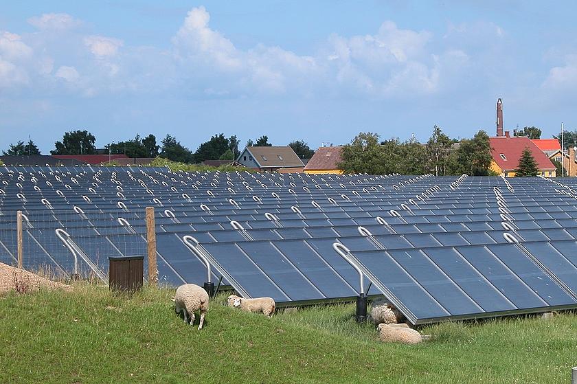 Die Solarthermieanlage auf der dänischen Insel Ærø mit riesigem Fernwärmespeicher versorgt die Stadt Marstal mit erneuerbarer Wärme