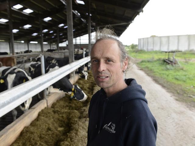 Landwirt Thies Paulsen neben seinen Kühen auf dem Berghof im nördlichen Schleswig-Holstein