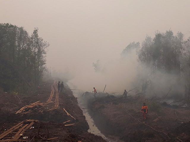 Waldbrände in Indonesien