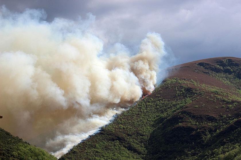 Seit Samstagnachmittag wütet der wohl schlimmste Waldbrand seit Jahrzehnten im Landesinneren von Portugal, knapp 200 Kilometer nordöstlich von Lissabon entfernt. (Foto: <a href="https://www.flickr.com/photos/marta_arias/34248136722" target="_blank">Mart