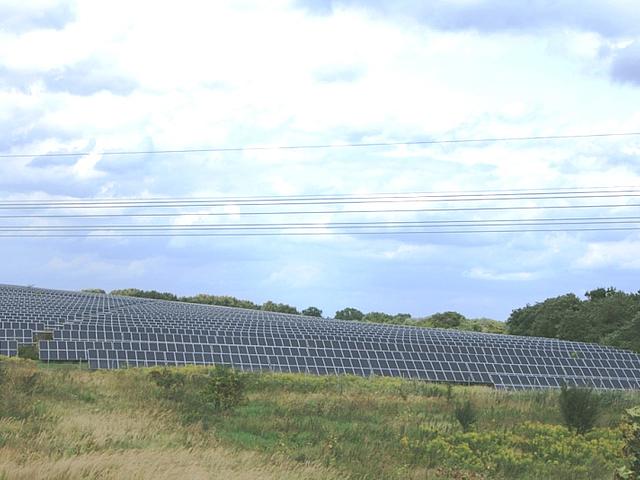 Freiflächen-Solaranlagen werden häufig auf Brachflächen oder – wie hier in Rüdersdorf bei Berlin – auf ehemaligen Mülldeponien errichtet und die Bodenflächen darunter neu bepflanzt – ein doppelter Gewinn für Klima und Umwelt. (Foto: Nicole Al