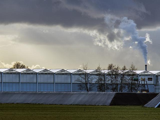 Das Klima in den Niederlanden ist für den Anbau vieler Pflanzen nicht geeignet, daher werden Treibhäuser intensiv geheizt, wie hier in Vrederust bei Den Haag. (Foto: <a href="https://www.flickr.com/photos/combron/9151465974/" target="_blank">Edo Dijkgra