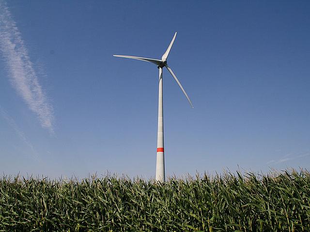 Die regionale Wertschöpfung eines Windparks kann bei Beteiligung der Bürger und regional ansässiger Firmen achteinhalb Mal höher sein im Vergleich zur Realisierung durch überregionale Projektentwickler. (Foto: pixabay.com, CC0 Public Domain)