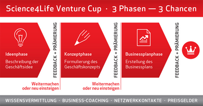 Die drei Phasen des Science4Life Venture Cup