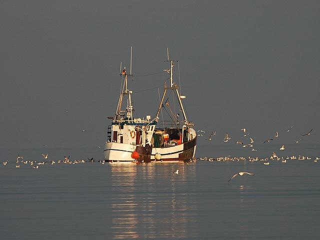 Ein Fischkutter bei der Arbeit. Auch die globale Fischereiwirtschaft muss deutlich stärker reguliert werden, überfischte Arten müssen besser geschützt werden. (Foto: <a href=" https://pixabay.com/photo-1290693/" target="_blank">Fritz_the_Cat / pixabay