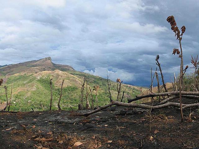 Wie hier südlich von Santa Fé in Panama gehen viele Regenwälder durch Brandrodung verloren. (Foto: Dirk van der Made, wikimedia commons, CC BY-SA 3.0)