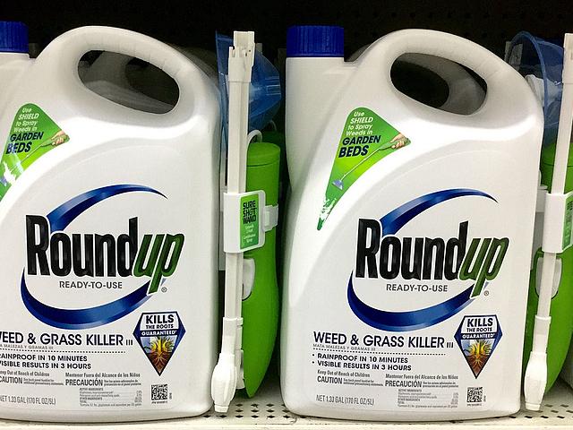 Monsanto vertreibt unter dem Markennamen Roundup in über 130 Ländern Pflanzenschutzmittel, die Glyphosat enthalten. Angewendet werden diese nicht nur in der Landwirtschaft, sondern auch von Hobbygärtnern. (Foto: <a href="https://www.flickr.com/photos/j