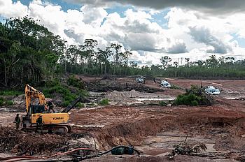 Die Abholzung des Regenwaldes in Brasilien hat im vergangenen Jahr den höchsten Stand seit zehn Jahren erreicht. 