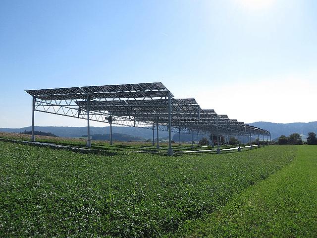 Photovoltaik und Photosynthese – Die Agrophotovoltaik-Pilotanlage in Heggelbach am Bodensee mit einer Leistung von 194 Kilowatt erstreckt sich über einen Drittel Hektar und kombiniert Strom- und Nahrungsmittelproduktion. (Foto: © Fraunhofer ISE)