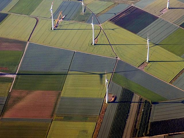 Windräder zwischen landwirtschaftlich genutzten Flächen