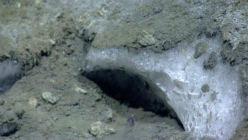 Auf dem Meersgrund ruhen große Mengen an, Methanhydrat, auch Methaneis genannt. Dieses Stück liegt in 1.055 Metern Tiefe, nahe einer Stelle an der das Team der Okeanos Explorer aufsteigende Methanblasen entdeckt hat. (Bild: © NOAA Okeanos Explorer Prog
