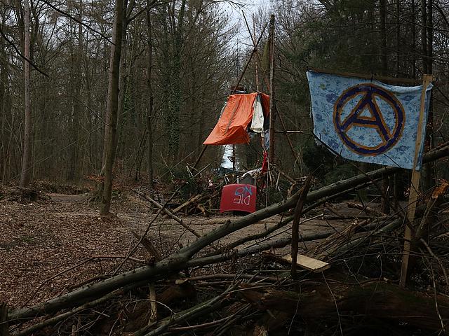 Foto: Bild von Barrikaden im Hambacher Forst
