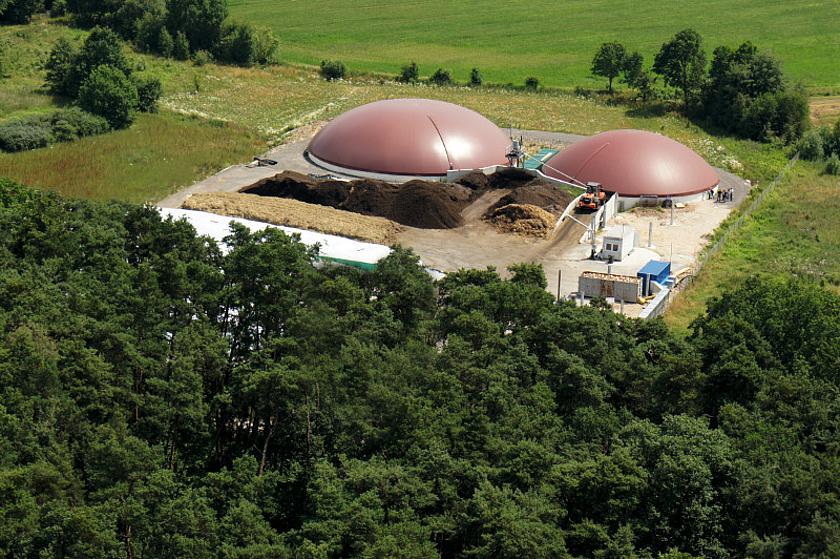 Noch nutzen die meisten Biogasanlagen nachwachsende Rohstoffe wie Mais oder Wildblumen als Substrat. Einer Studie zufolge sollen Bioabfälle in den kommenden Jahren jedoch zunehmend eine Rolle bei der Erzeugung von Bioenergie spielen. (Bild: Naturstrom AG