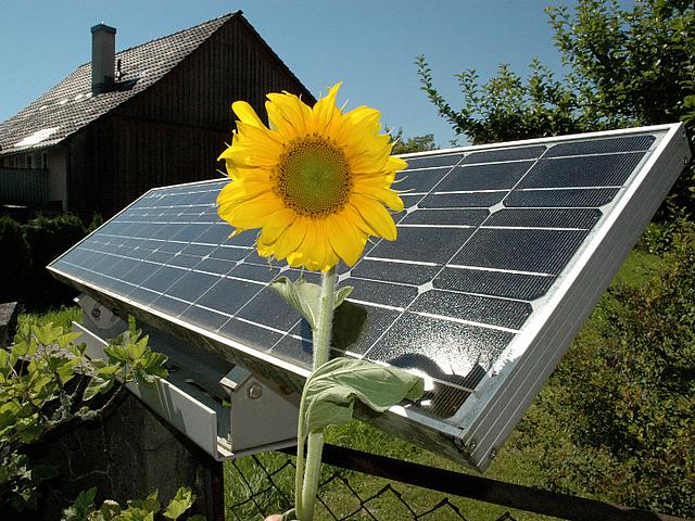 Blumen und Photovoltaik - mithilfe von Minisolaranlagen lässt sich beides auch auf dem Balkon kombinieren. (Bild: © Norbert Staub, Rikon/ pixelio.de)