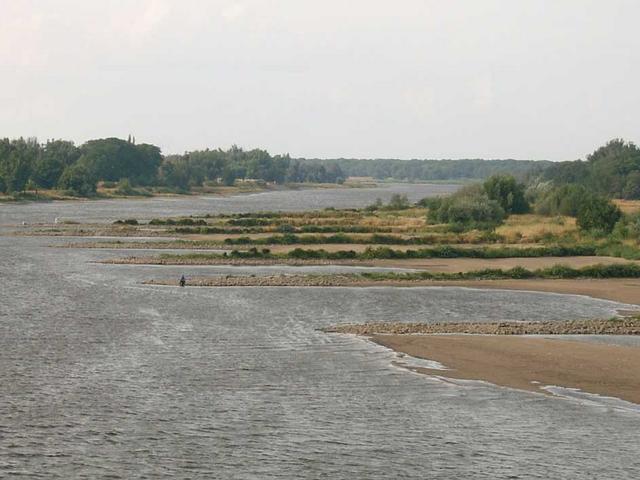 Fluss mit Niedrigwasser und Buhnen bei Frankfurt Oder