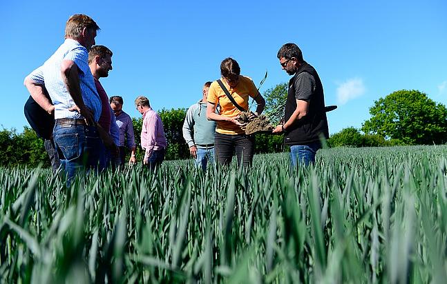 Gespannt lauschen die Landwirte den Tipps von Bodenexpertin Dr. Sonja Dreymann bei einem Bodenseminar auf einem Acker in Schleswig-Holstein (Foto: Dierk Jensen)