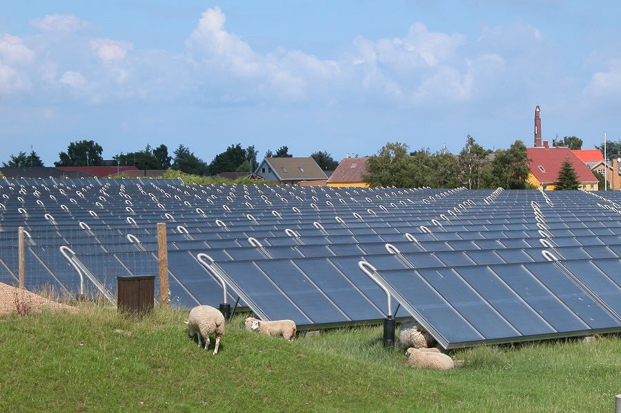 Freiflächen-Solarthermieanlage auf der dänischen Insel Ærø