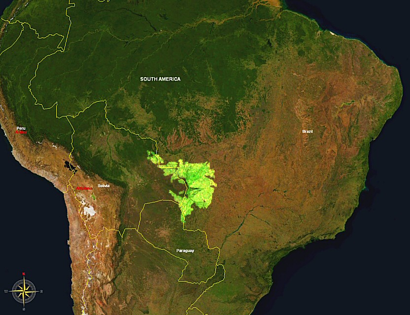 Satellitenbild zur Lage des Pantalas in Brasilien.