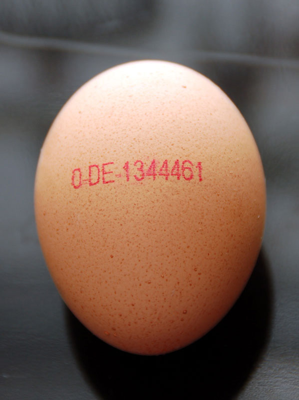 braunes Ei mit Kennzeichnung "0" und "DE" für Bio und Deutschland 