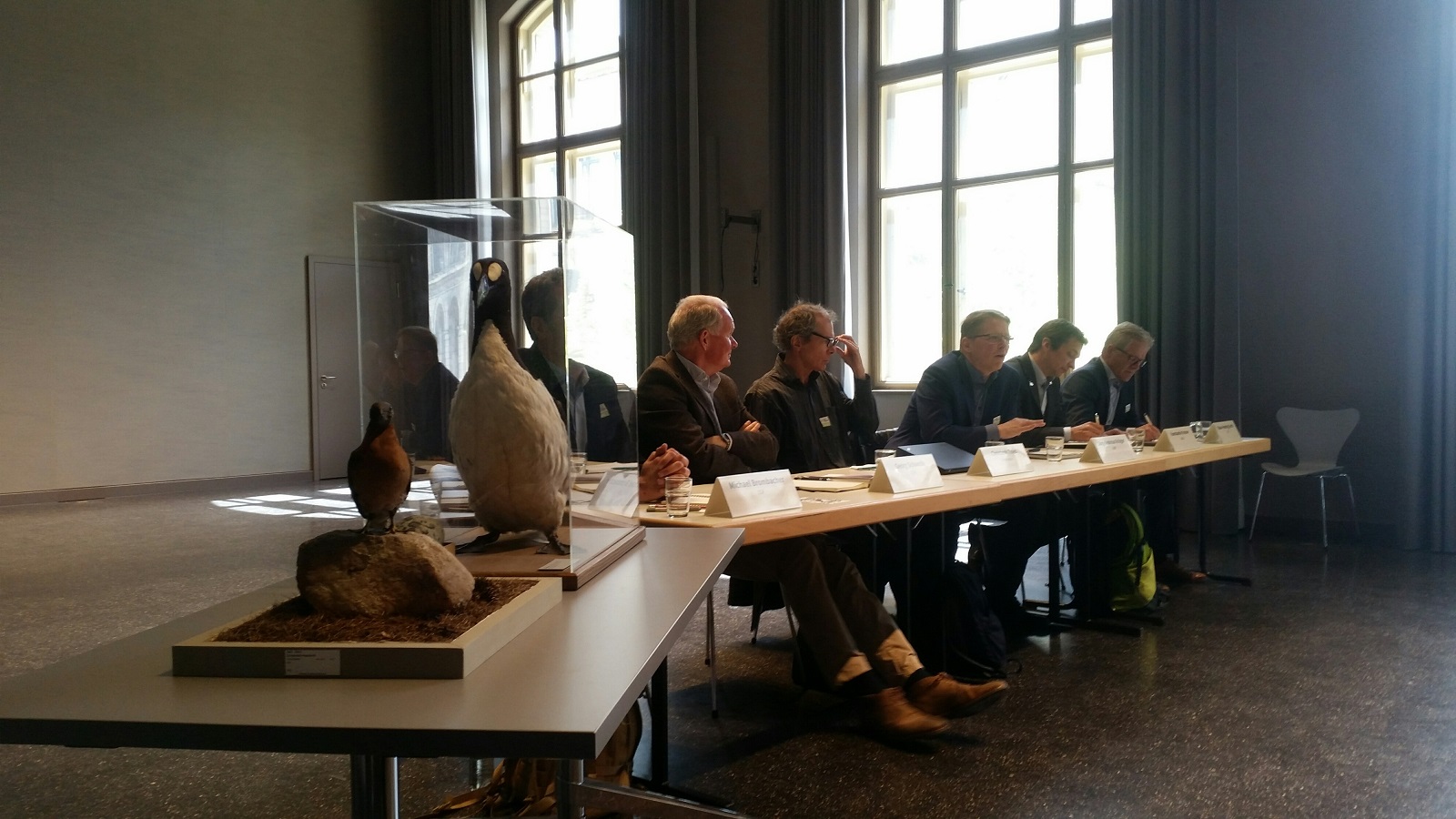 Bild der Pressekonferenz im Naturkundemuseum zu Berlin. Die Experten aus Umweltverbänden mit ausgestellten Vögeln im Vordergrund.